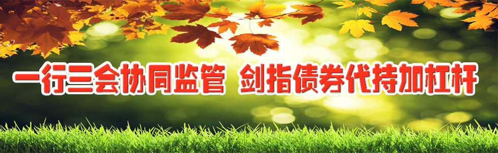 一行三會(huì)協(xié)同監(jiān)管 劍指?jìng)旨痈軛U